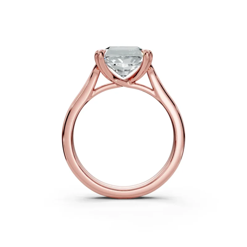 10 Solitary Fashion Heart Prong Cathedral Standard Profile Double Shank radiant engagement ring 1