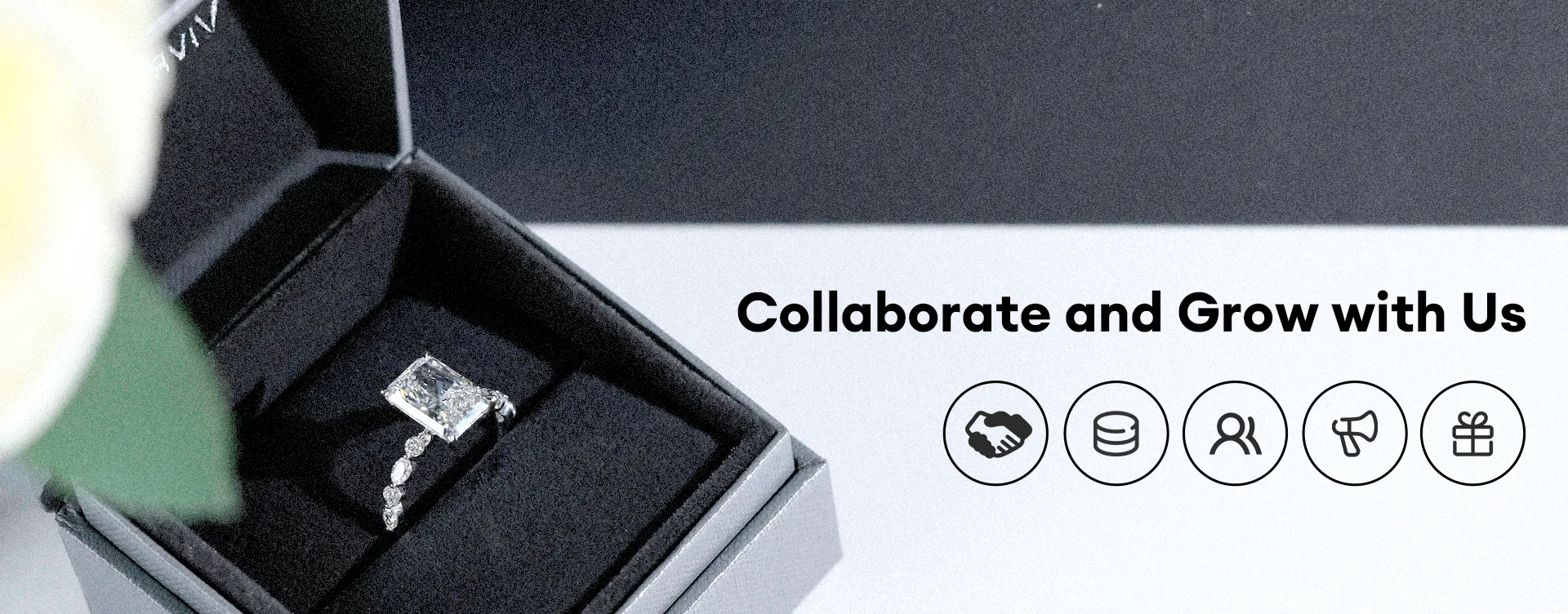 affiliate program coming soon viver brilliance 拷贝