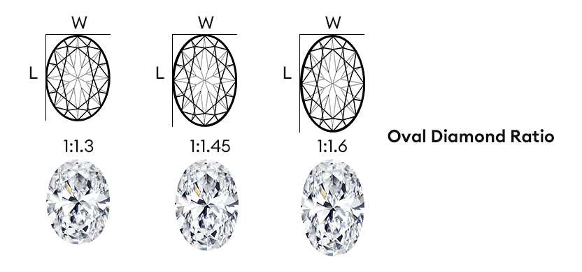 length to width ratio
